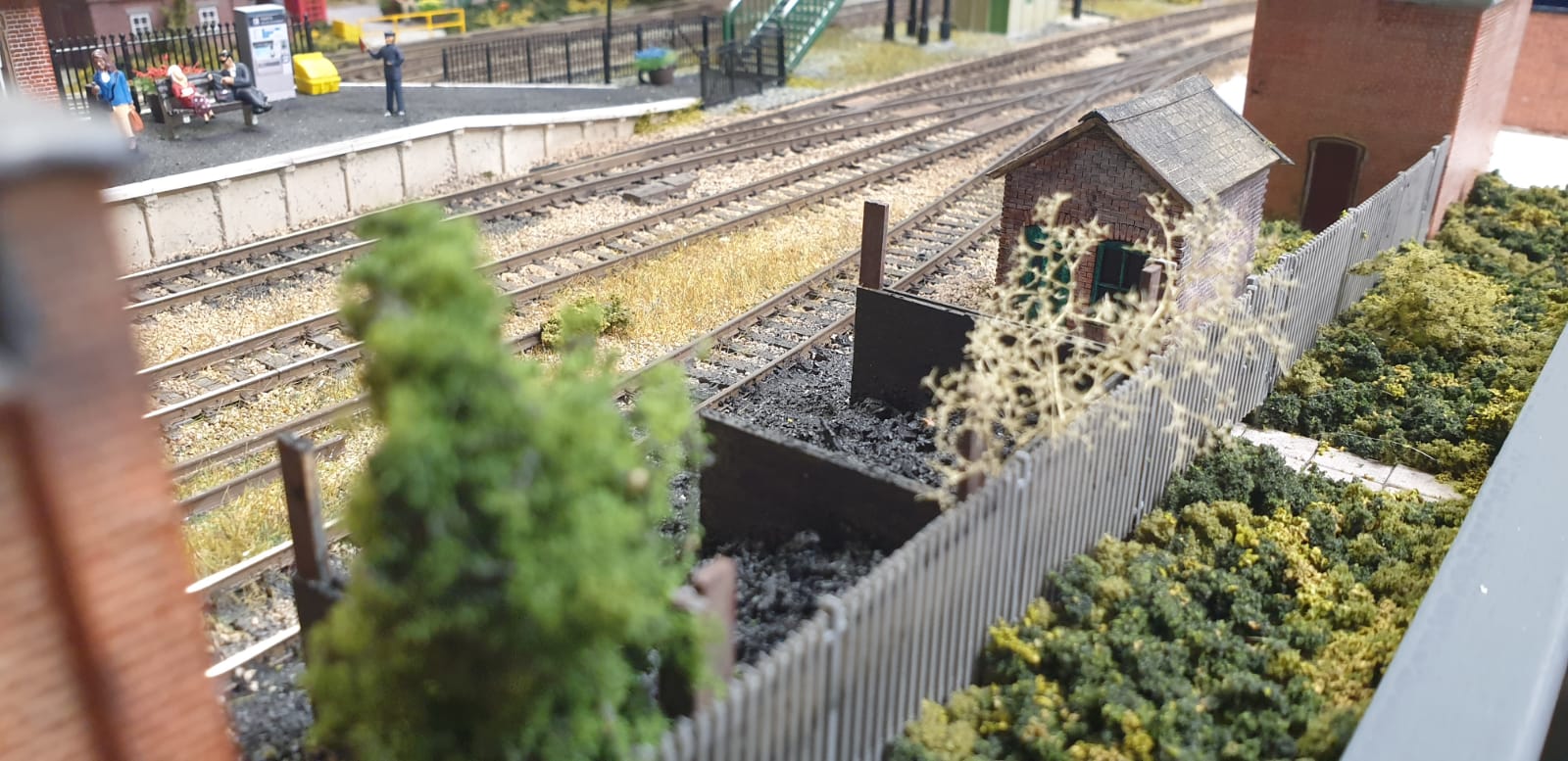 PHOTO-2022-06-01-21-29-04 (1)