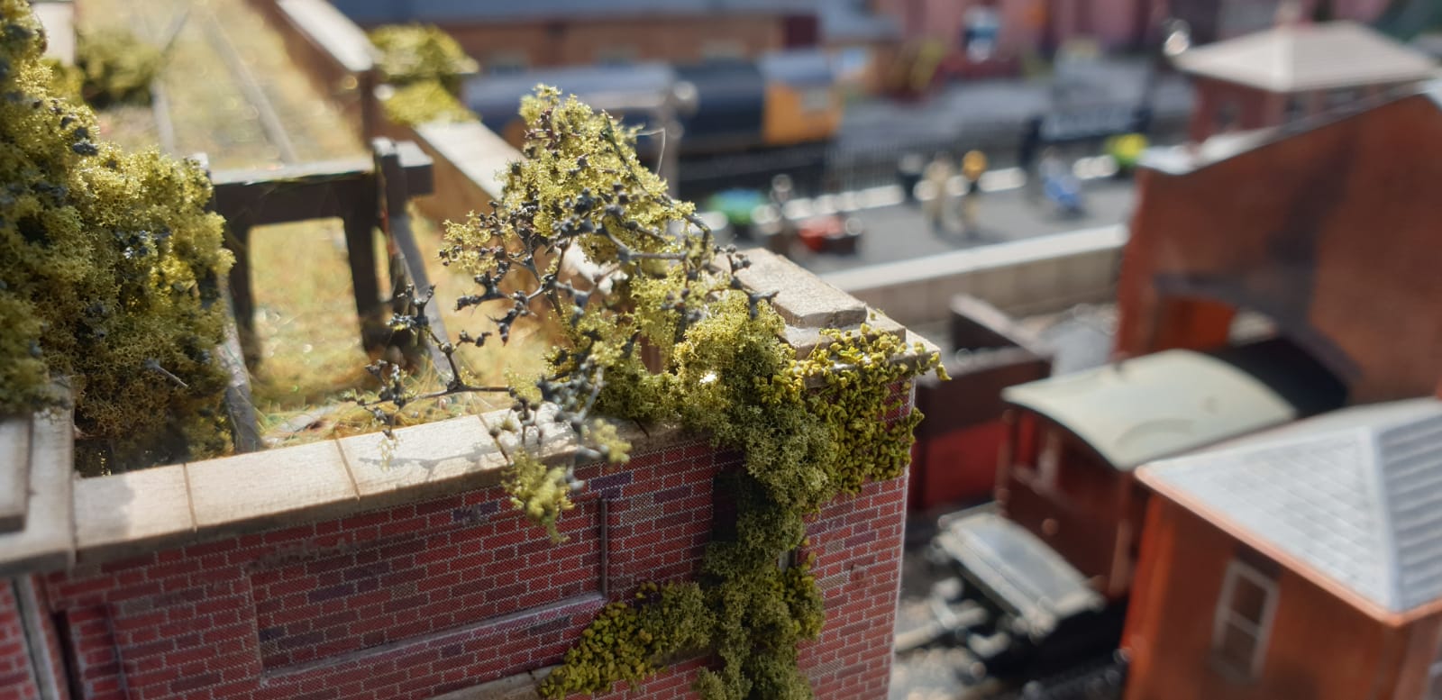 PHOTO-2022-06-01-21-33-17